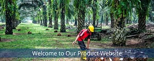Lauric Acid Banner