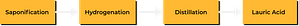 Lauric-Acid Manufacturing-Process
